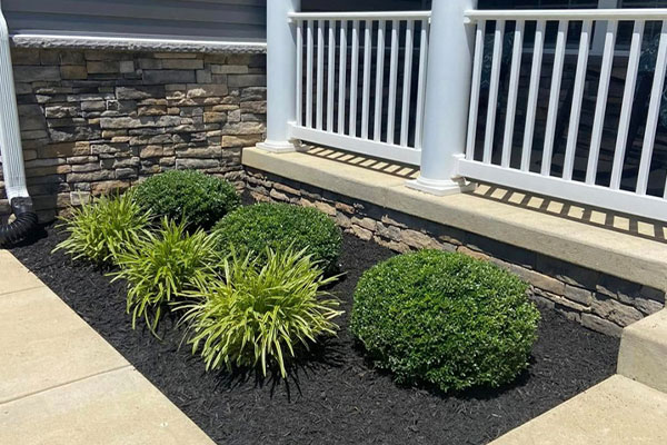 Neatly trimmed shrubs and ornamental grasses in a mulched border beside a small stone wall and white railing.