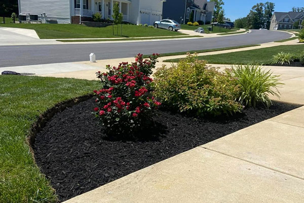 Landscaping