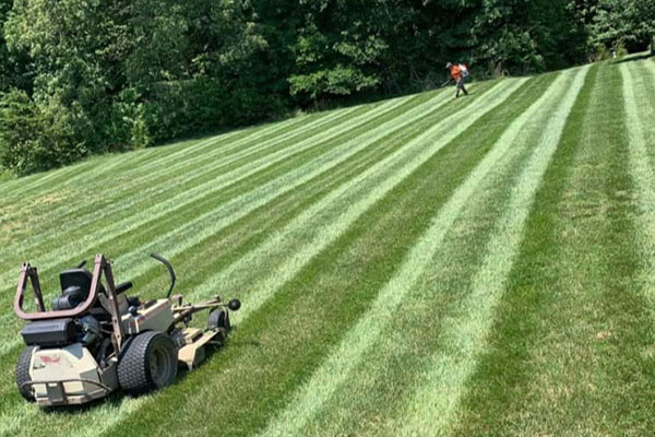 Lawn Maintenance